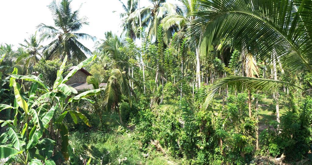 Damith Guest House Unawatuna Exterior foto